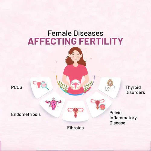 Enhance Your Chances of Conception Naturally | Fertility Boosting Tips & Lifestyle - NUTRIDIVAOFFICIAL