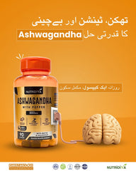 Ashwagandha Capsules by NutriDiva – KSM-66 Root Extract 90 Capsules for Stress Relief, Better Sleep, and Hormonal Balance in Pakistan