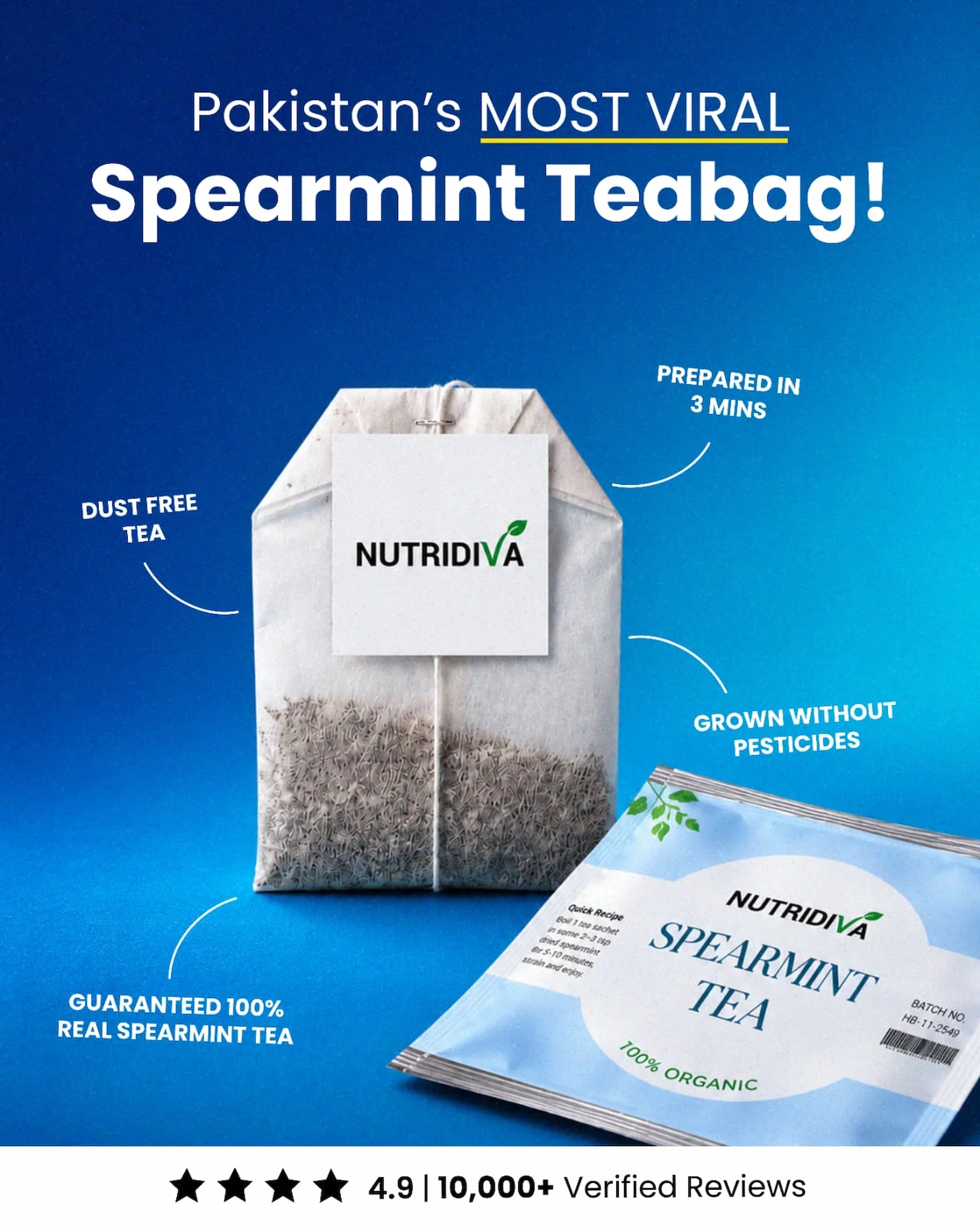 NutriDiva Spearmint Tea Bag individual sachet – 100% pure Mentha spicata spearmint