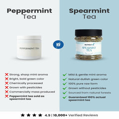 Spearmint Tea Pakistan – Natural Anti-Androgen Herbal Tea for Women with PCOS